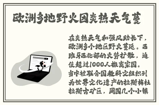 国产精品日本一区二区在线看